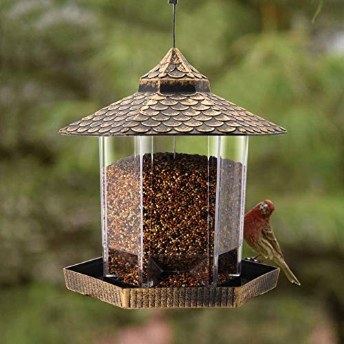 Wild Bird Feeder 