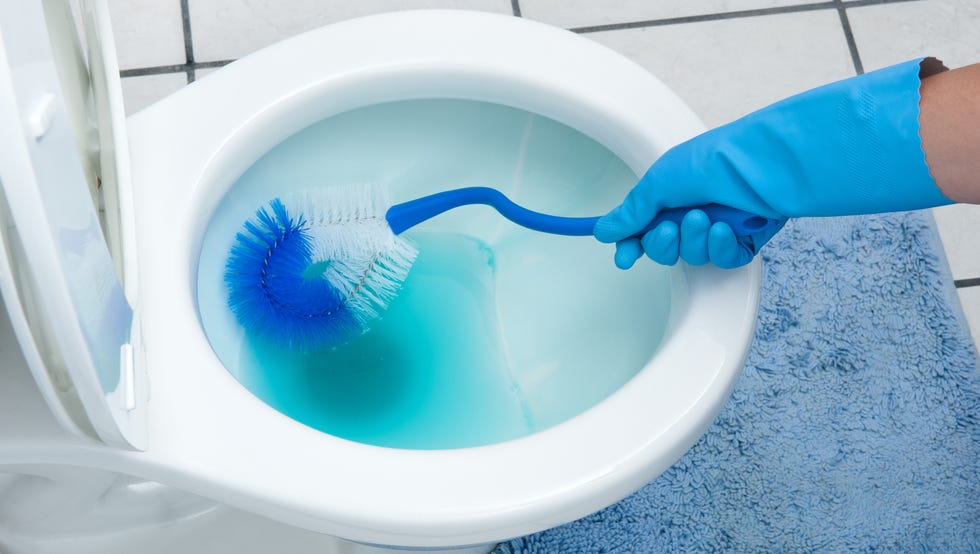 toilet bowl cleaning, hand with blue gloves scrubbing the white toilet with a brush