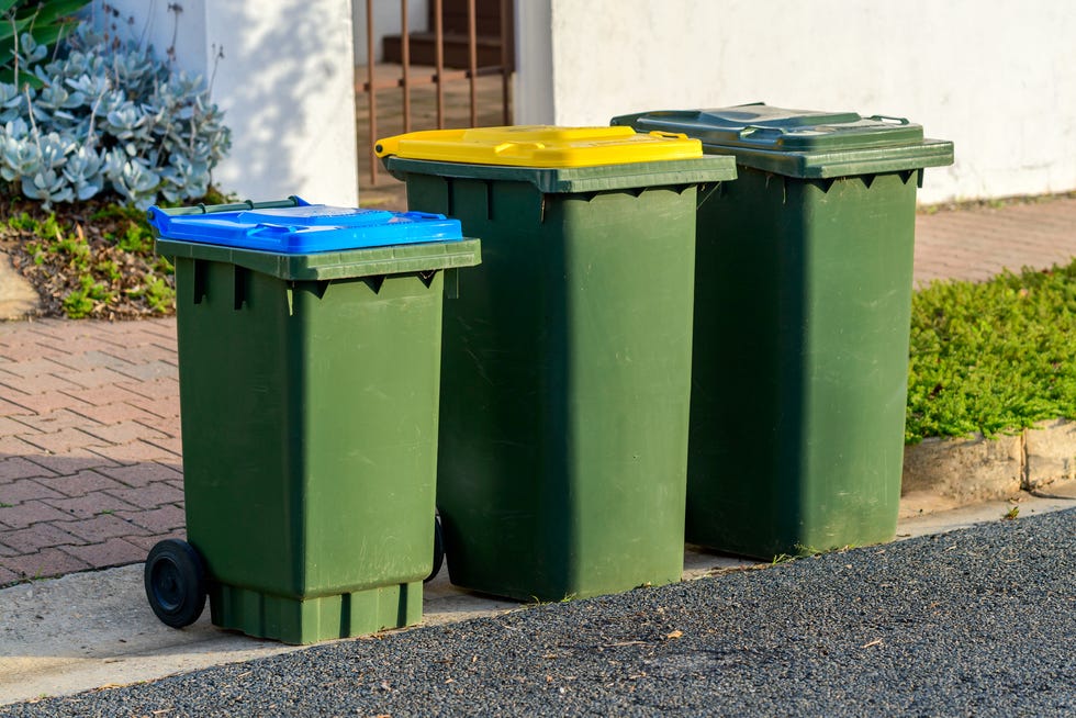 how to get rid of wasps, green curbside bins outside