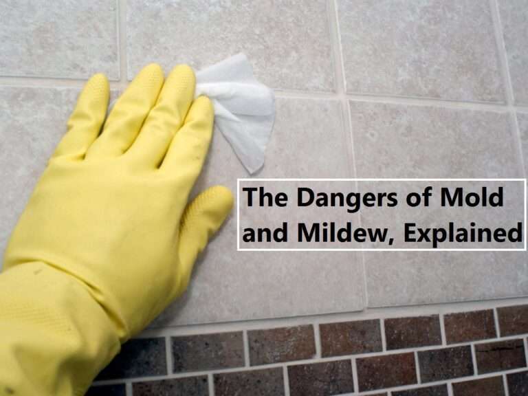 The Dangers of Mold and Mildew