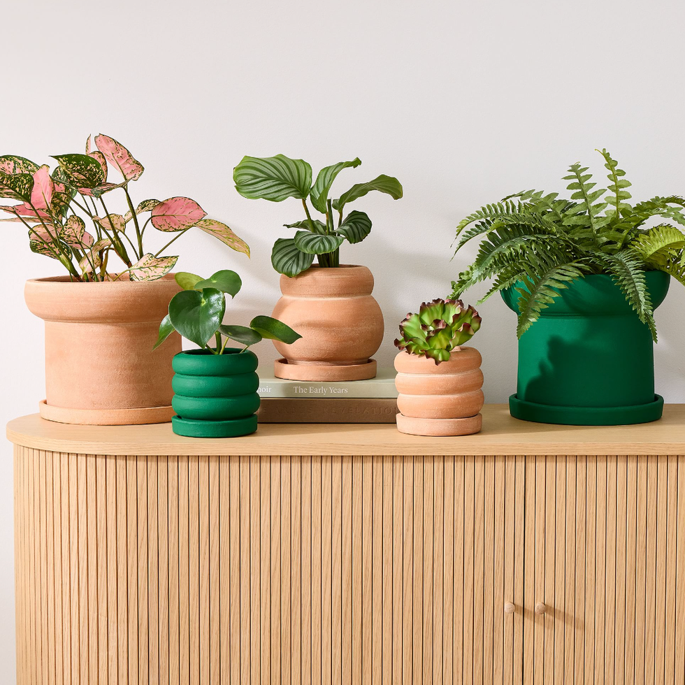 Terracotta Tabletop Planters